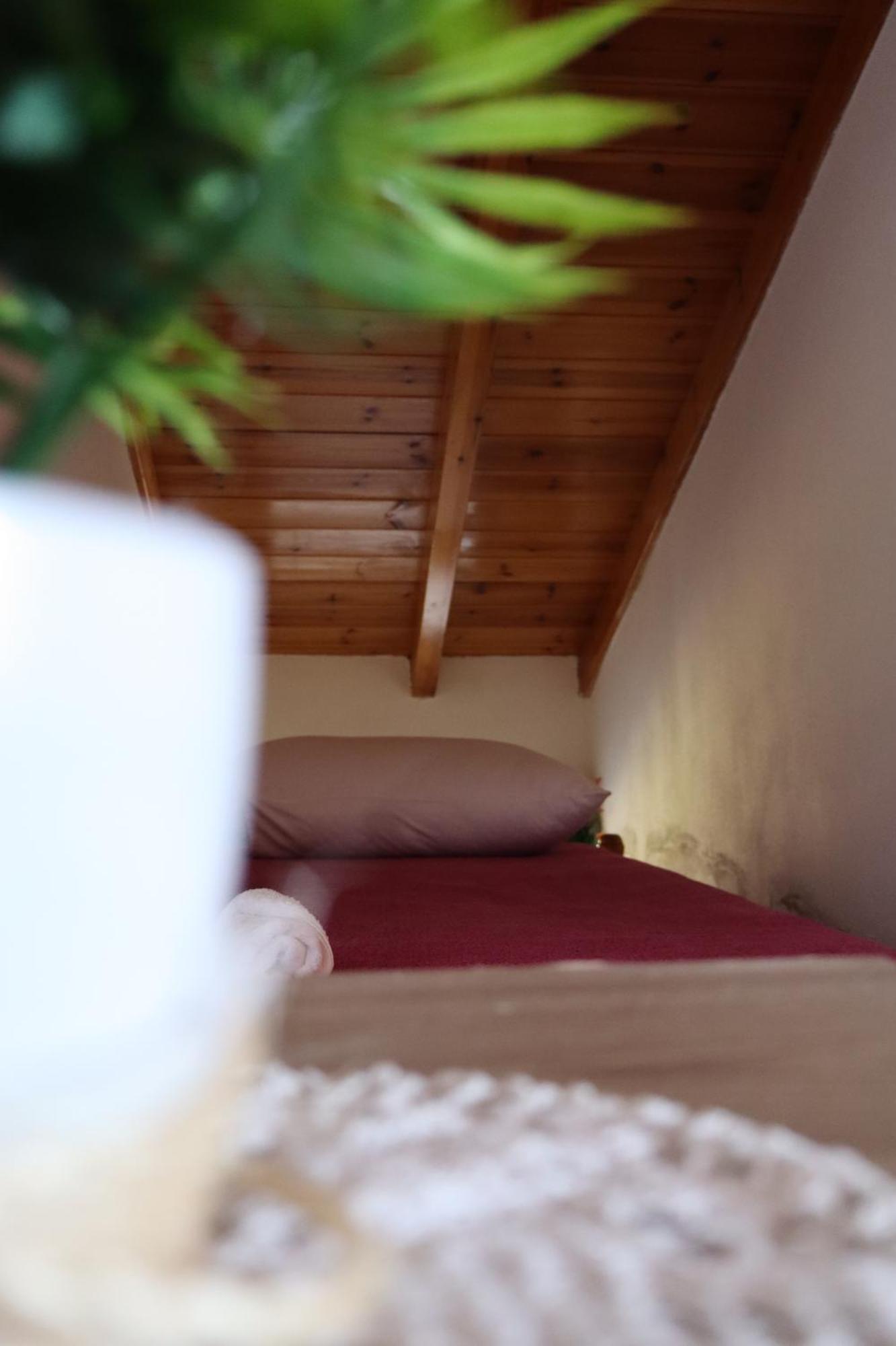 Bujtina Anlu Hotel Nepravishte ภายนอก รูปภาพ