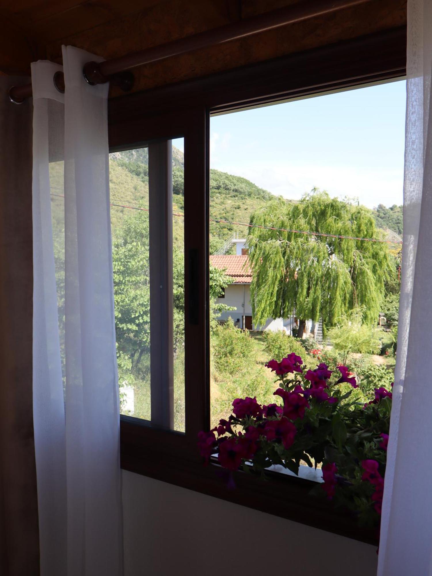 Bujtina Anlu Hotel Nepravishte ภายนอก รูปภาพ